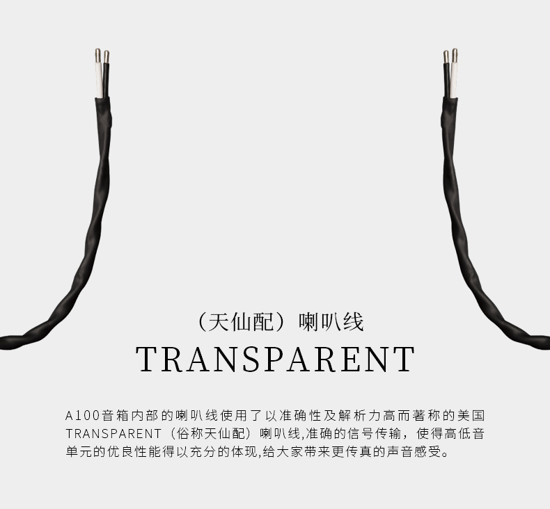Edifier 漫步者 Airpulse A100 蓝牙音响系统 白色 Hi-Res认证 小金标 Audio Active Speaker 音箱 扬声器