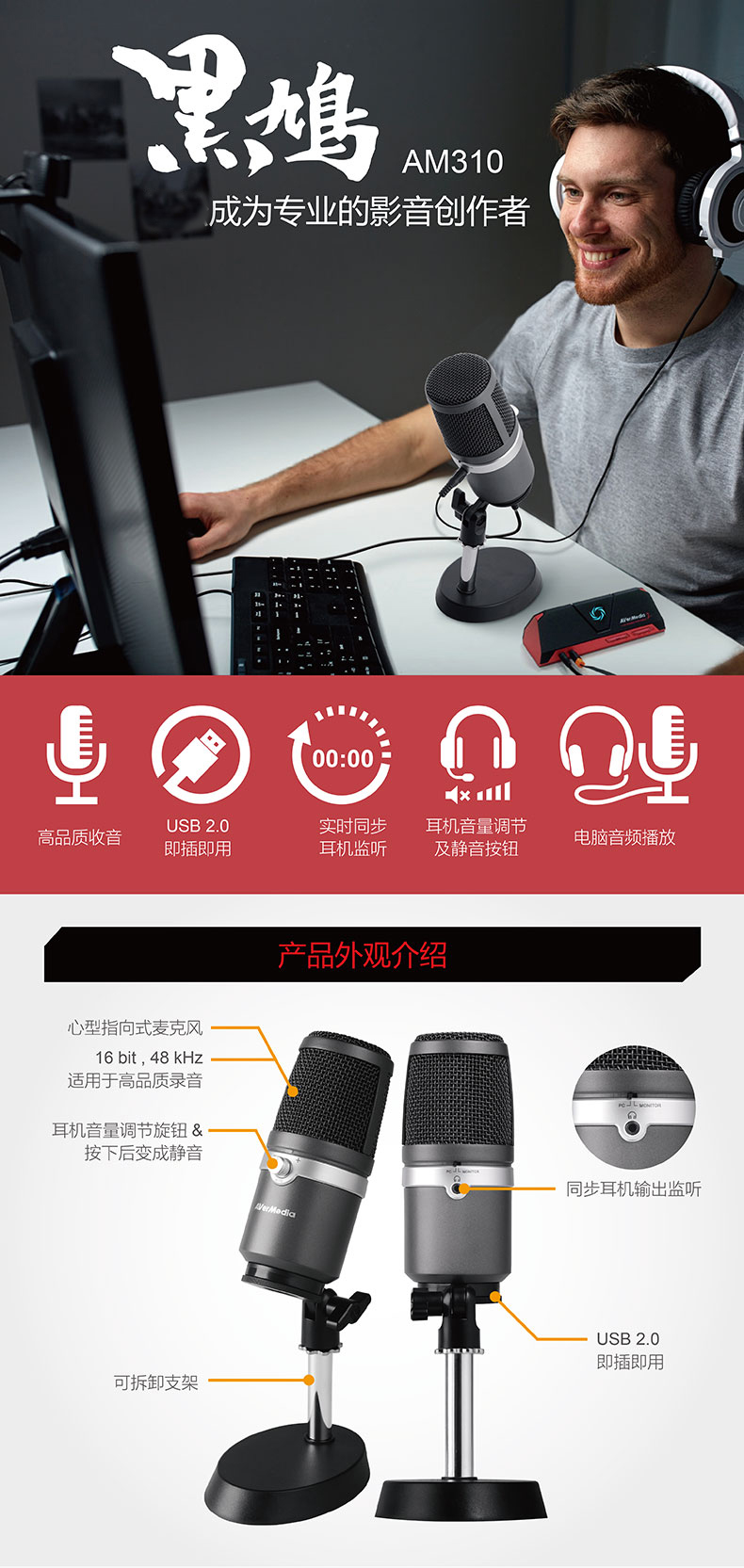 AVerMedia AM310 电容麦克风 网红喊麦k歌游戏专业录音 指向性收音