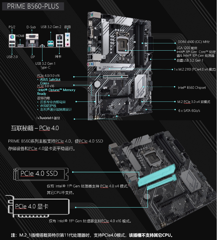 ASUS 华硕 PRIME B560-PLUS Intel B560 (LGA 1200) ATX Motherboard